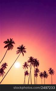 Beautiful vivid tropical sunset with palm trees silhouettes and sky as copy space place