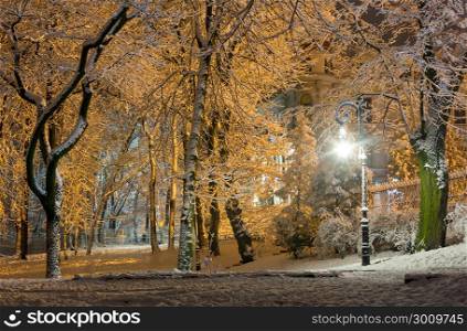 Beautiful walkway in illuminated night winter Ivan Franko park (Lviv city center, Ukraine).