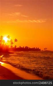 Beautiful warm sunset on tropical ocean beach