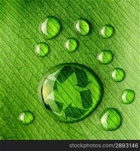 Beautiful water drops on a leaf close-up and recycle logo