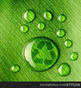 Beautiful water drops on a leaf close-up and recycle logo