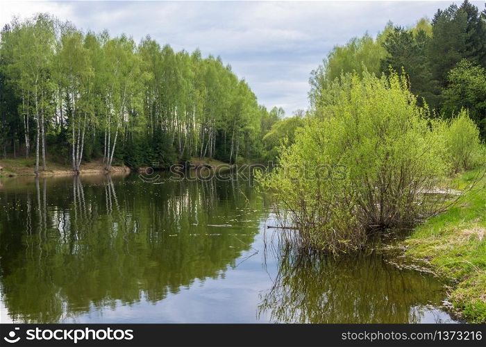 Beautiful water landscape reflected in the water birch trees in spring day.