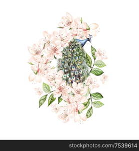 Beautiful watercolor peacock bird and flowers. Illustration . Beautiful watercolor peacock bird and flowers