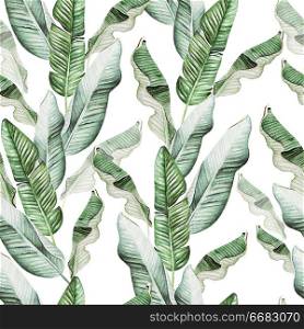 Beautiful watercolor seamless pattern with tropical leaves and banana leaves. Illustration. Beautiful watercolor seamless pattern with tropical leaves and banana leaves.