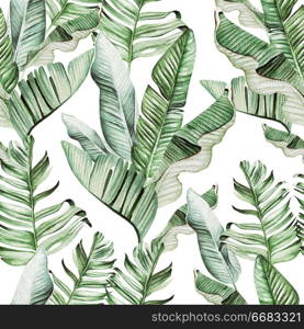 Beautiful watercolor seamless pattern with tropical leaves and banana leaves. Illustration. Beautiful watercolor seamless pattern with tropical leaves and banana leaves.