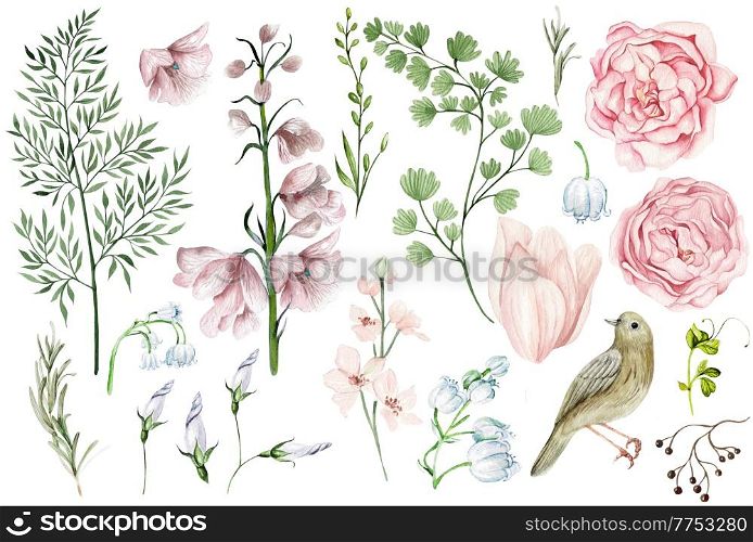 Beautiful watercolor set with pink spring flowers and buds, leaves and bird. Illustration . Beautiful watercolor set with pink spring flowers and buds, leaves and bird.