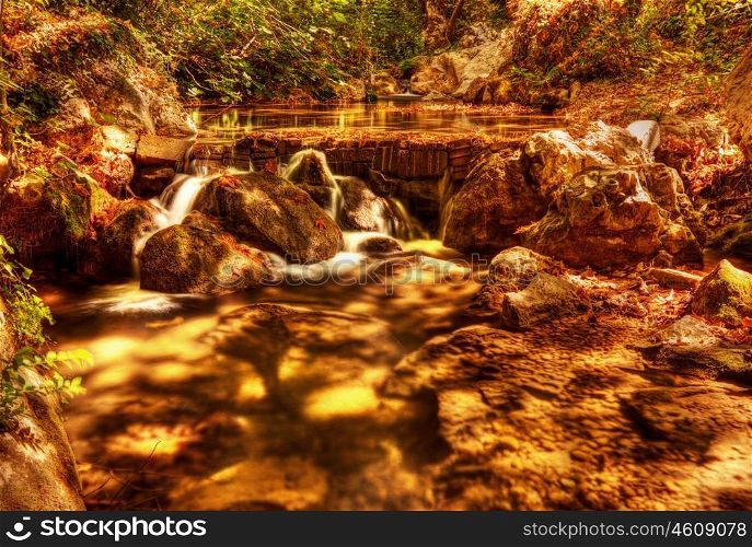 Beautiful waterfall in forest, wonderful view of cascade river, peaceful jungle mountains, wild nature landscape, dry autumn trees, water stream in rainforest with yellow old falling leaves