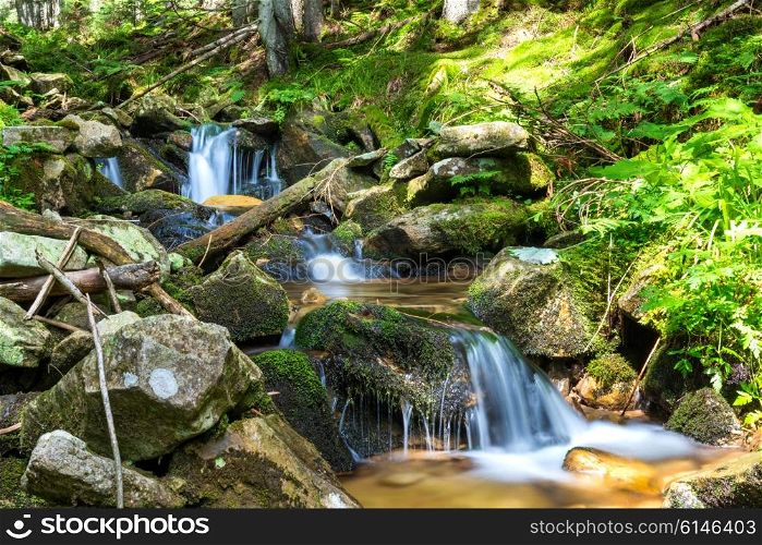Beautiful waterfall in the green forest. Cascade of motion water
