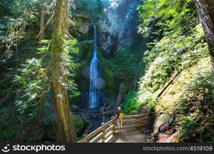Beautiful waterfall in Vancouver island, Canada