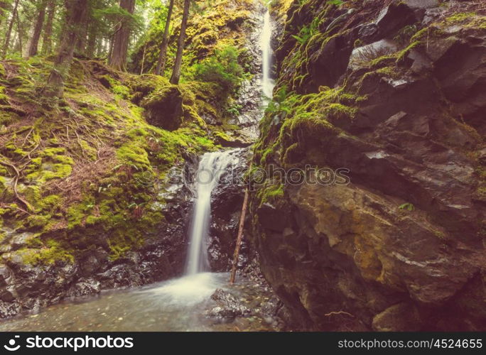 Beautiful waterfall in Vancouver island, Canada