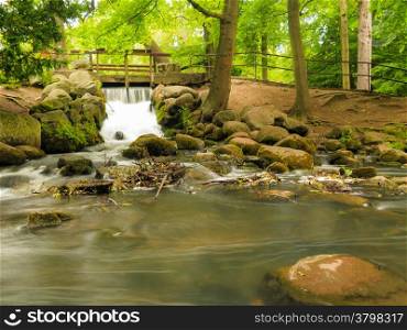 beautiful waterfall in woods green forest, stream in oliva park gdansk danzig poland. Natural landscape.