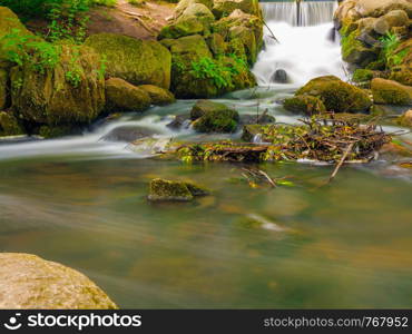 beautiful waterfall in woods green forest, stream in oliva park gdansk danzig poland. Natural landscape.