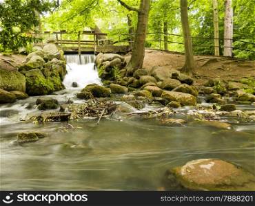 beautiful waterfall in woods green forest, stream in oliva park gdansk danzig poland. Natural landscape.