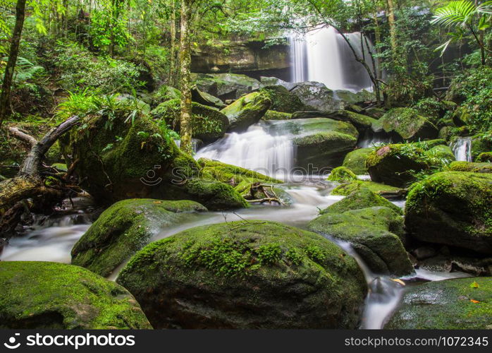 Beautiful waterfall with red green moss on stone stream water flow in the jungle tropical forest at Phukradueng Loei Thailand