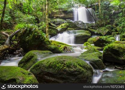 Beautiful waterfall with red green moss on stone stream water flow in the jungle tropical forest at Phukradueng Loei Thailand