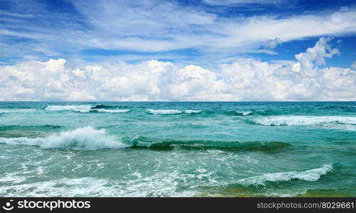 beautiful waves in the sea