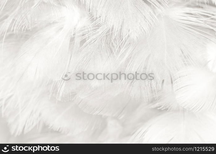 Beautiful white feather wooly pattern texture background