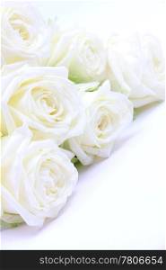 Beautiful white roses as wedding background
