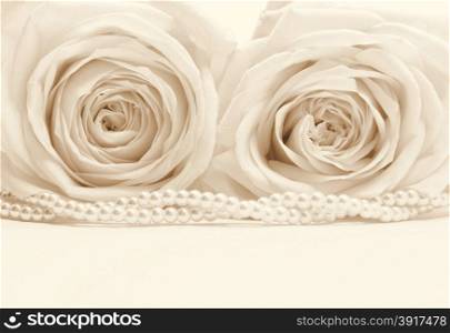 Beautiful white roses toned in sepia can use as wedding background. Soft focus. Retro stylev