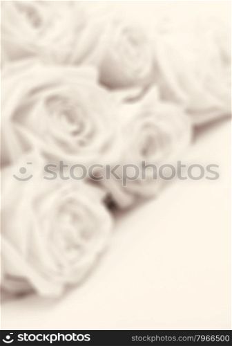 Beautiful white roses toned in sepia in blur style can use as wedding background. Soft focus. Retro style