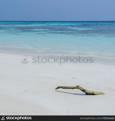 Beautiful white sand beach and crystal clear water of Koh Tachai, Similan National Park, Thailand