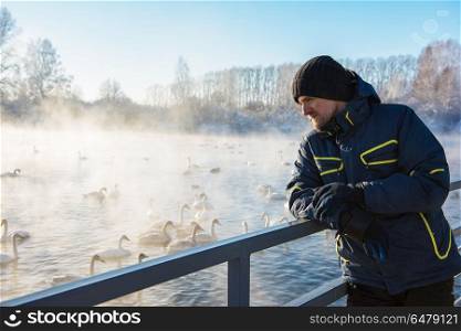 Beautiful white whooping swans. Man at winter nonfreezing lake with white whooping swans. The place of wintering of swans, Altay, Siberia, Russia.