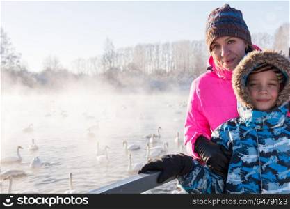 Beautiful white whooping swans. Woman at winter nonfreezing lake with white whooping swans. The place of wintering of swans, Altay, Siberia, Russia.