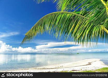 Beautiful wild beach at remote island, Philippines