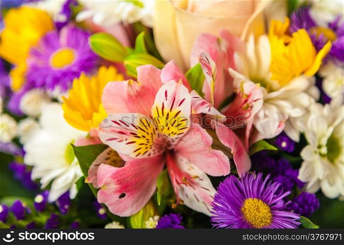 Beautiful Wild flowers background on a white background
