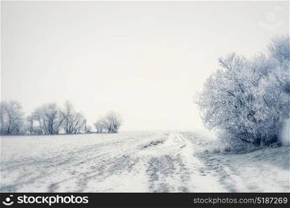Beautiful winter country landscape snowy trees and field, outdoor nature