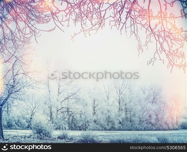 Beautiful winter country landscape with snow trees and frame of branches