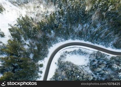beautiful winter forest and the road