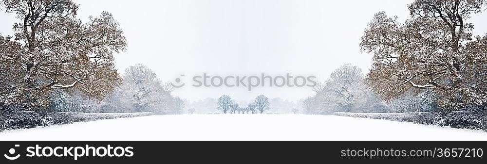 Beautiful winter forest snow scene with deep virgin snow