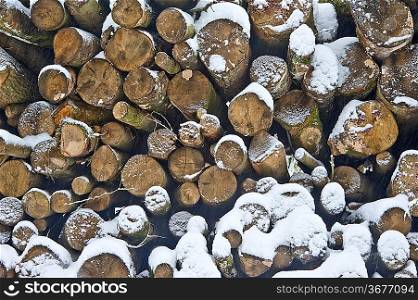 Beautiful winter forest snow scene with deep virgin snow and close up of cut timber stack