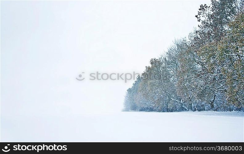 Beautiful winter forest snow scene with deep virgin snow and trees fading into distance with plenty of copy space for your text