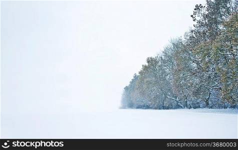 Beautiful winter forest snow scene with deep virgin snow and trees fading into distance with plenty of copy space for your text