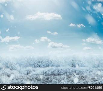 Beautiful winter frosty day landscape with snow trees and sky, square