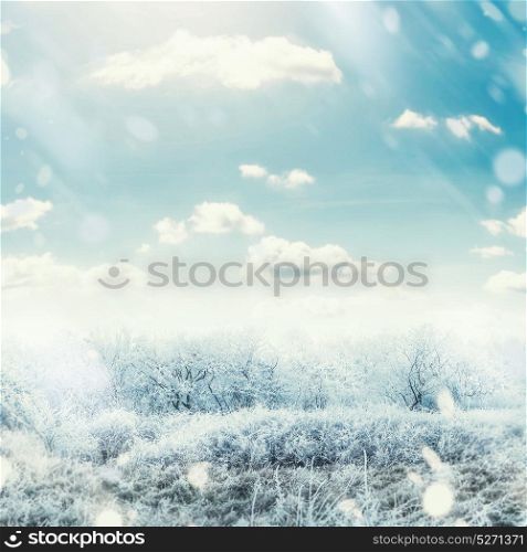 Beautiful winter frosty day landscape with snow tress , sky and snow fall