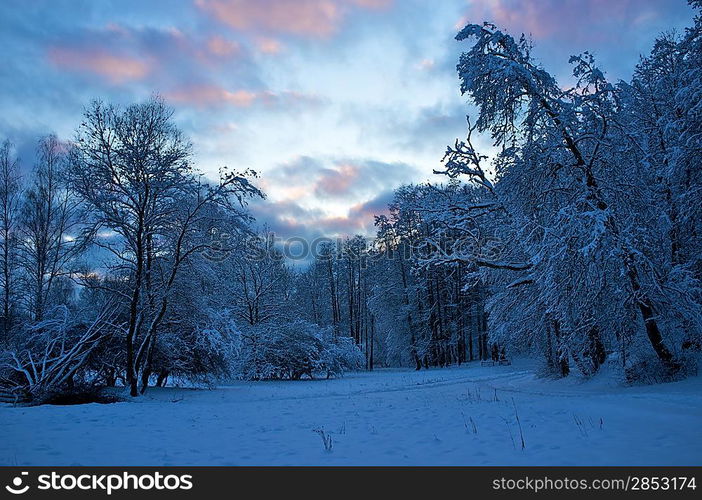 Beautiful winter landscape.