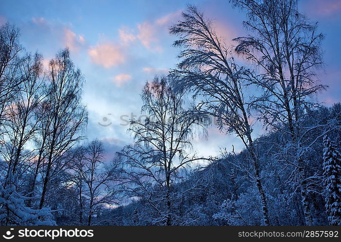 Beautiful winter landscape.