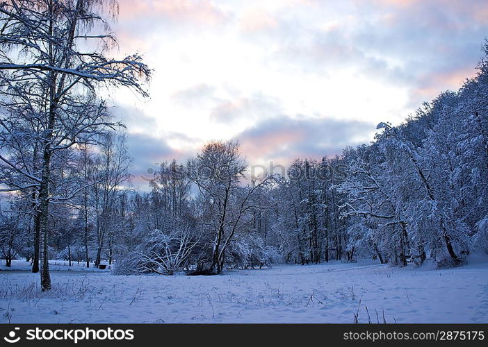 Beautiful winter landscape.