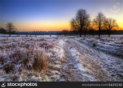 Beautiful Winter landscape across frosty fields towards silhouette trees on horizon into stunning colorful sunrise