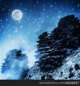 Beautiful winter landscape, big pine trees on high snowy mountain in dark night, magical moon light, Christmas time concept