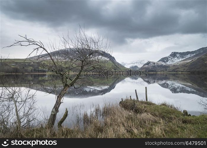 Beautiful Winter landscape image of Llyn Nantlle in Snowdonia Na. Beautiful sunrise landscape image in Winter of Llyn Nantlle in Snowdonia National Park with snow capped mountains in background