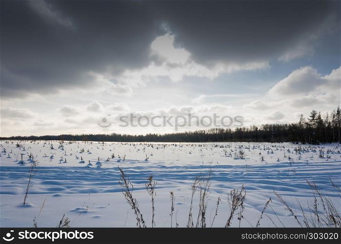 Beautiful winter landscape in a sunny frosty day in central Russia.