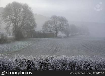 Beautiful Winter landscape in English countryside at dawn with thick fog hiding farm buildings across the fields