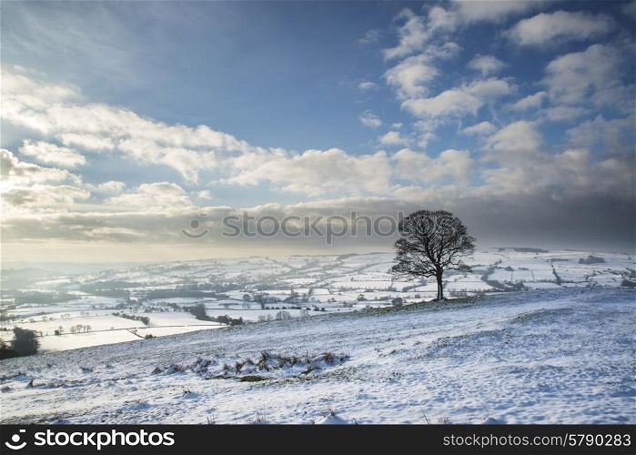 Beautiful Winter landscape snow covered rural countryside