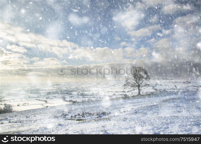 Beautiful Winter landscape snow covered rural countryside in heavy snow storm