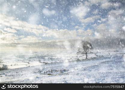Beautiful Winter landscape snow covered rural countryside in heavy snow storm