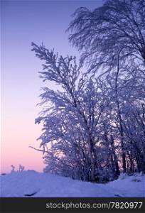 Beautiful winter landscape with frost trees